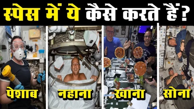 ऐमज़ॉन में छिपे खतरनाक जानवर